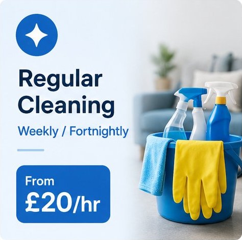 High Five Cleaners regular domestic cleaning service — weekly or fortnightly, from £20 per hour